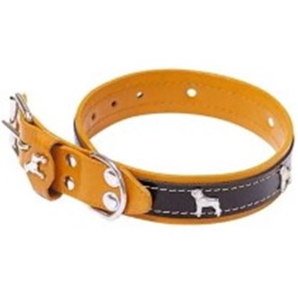 Coleira Cachorro Emblema